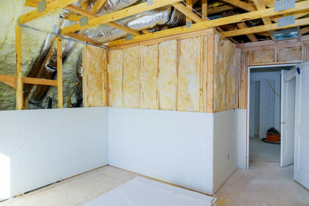 Best Eco-Friendly Insulation in Logan, NM