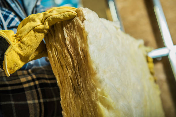Best Insulation Maintenance and Repair in Logan, NM