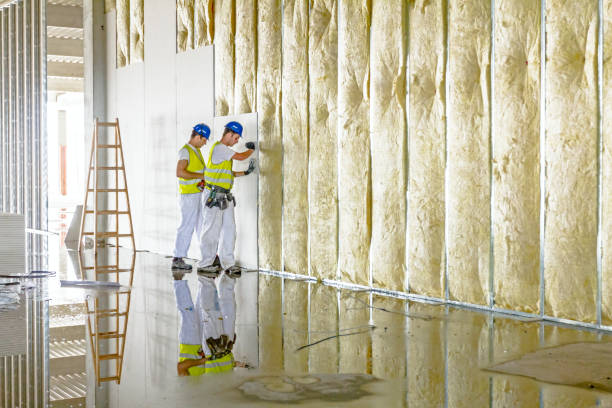 Best DIY Insulation Kits and Guidance in Logan, NM